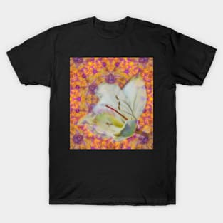 Bauhinia on vibrant kaleidoscope T-Shirt